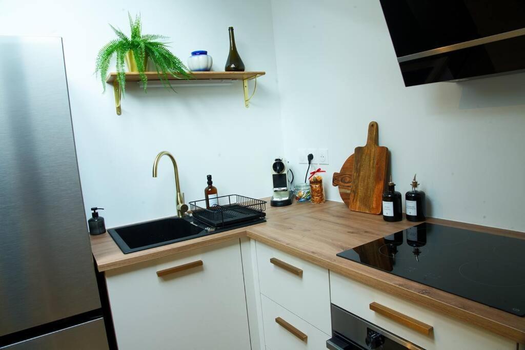 Appartement De Charme A Nancy Exteriér fotografie
